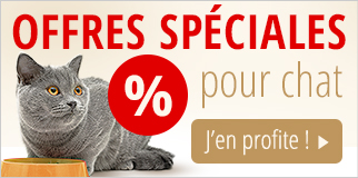 Offres Speciales Pour Chat A Un Prix Avantageux Chez Zooplus