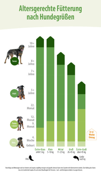 Futterumstellung beim Hund : Nebenwirkungen & Tipps - Altersgerechte F%C3%BCtterung HunDe Tabelle 400x710