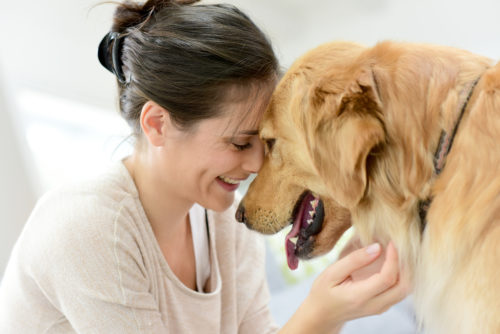 10 Dinge, die Sie wissen sollten, bevor Sie einen Hund adoptieren