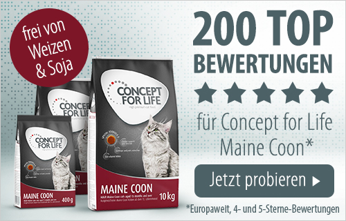 Maine Coon Ernährung Welches Futter Ist Das Beste Zooplus