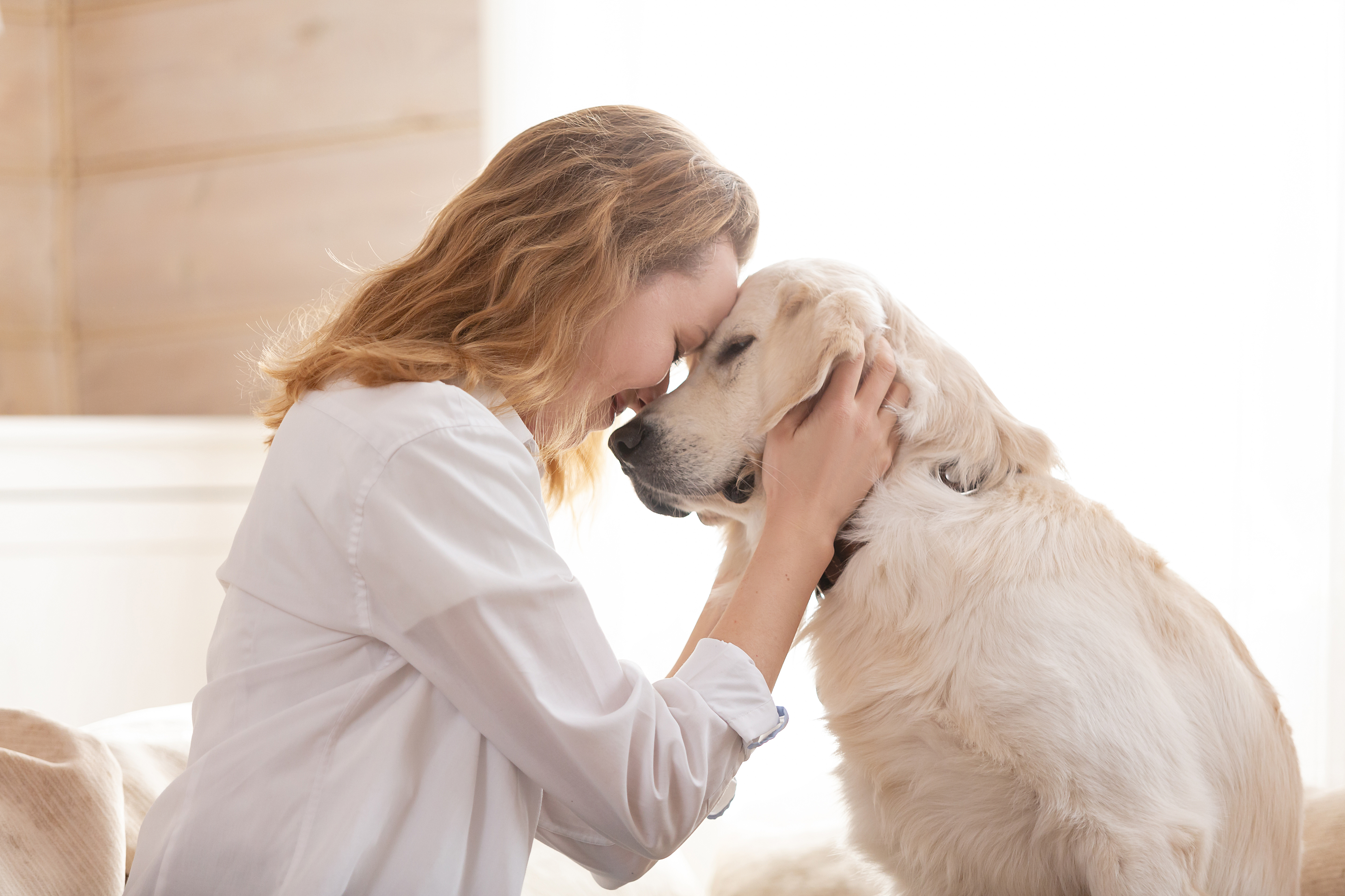 Lebererkrankung beim Hund Symptome &amp; Behandlung