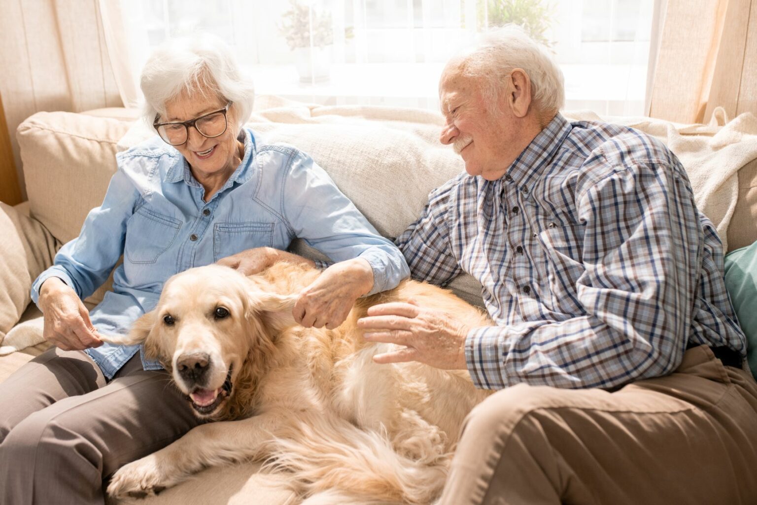 Demenz bei Hunden (Alzheimer) Symptome und Behandlung zooplus