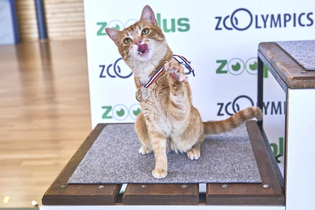 zooplus Kampagne zoolympics
