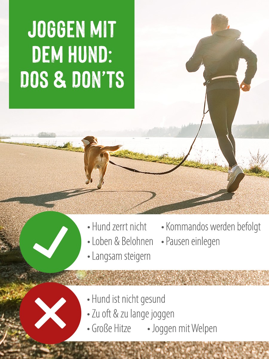 Mann mit Hund Jogging Infografik