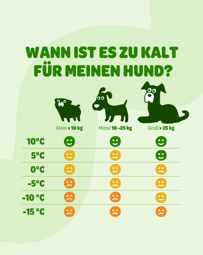 infografik mit tabelle wann frieren hunde