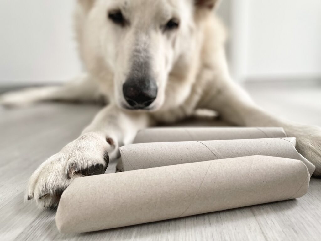 Papierrollen als Hundespielzeug