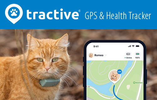 tractive GPS und Health Tracker für Katzen