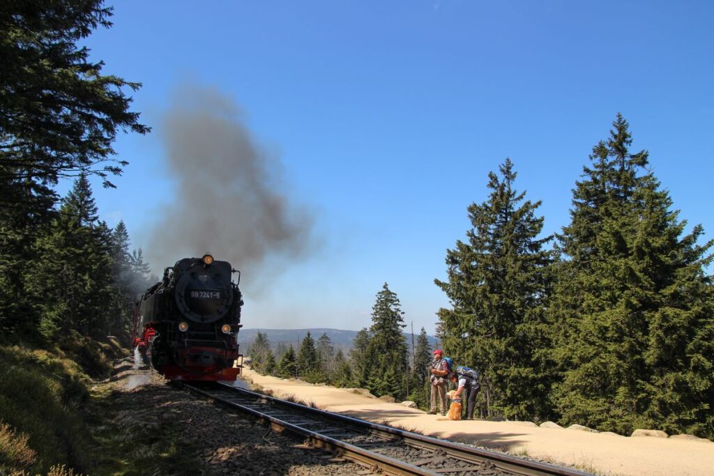 Brockenbahn für das Wandern im Harz mit Hund