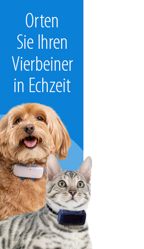 Angebot tractive GPS- & Health Tracker für Hunde und Katzen