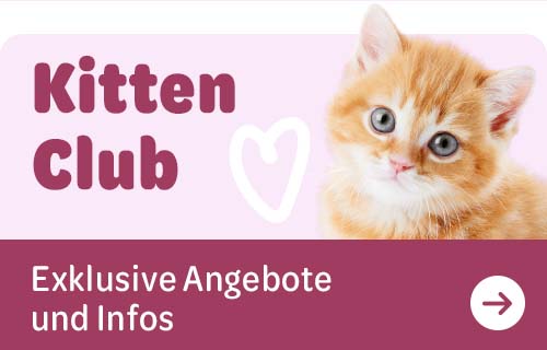 DE_KittenClub2025_0325